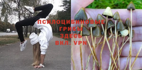 MESCALINE Семикаракорск