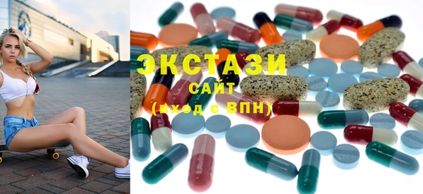 индика Богородицк