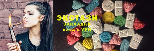 индика Богородицк