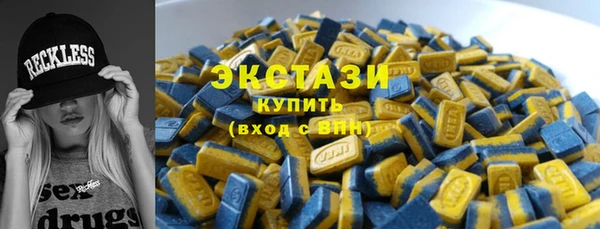индика Богородицк