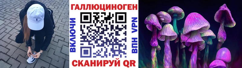 Псилоцибиновые грибы Psilocybine cubensis  Кирс